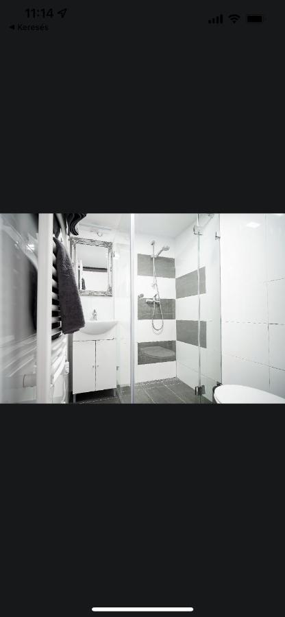 Twin Apartment Budapest Bagian luar foto